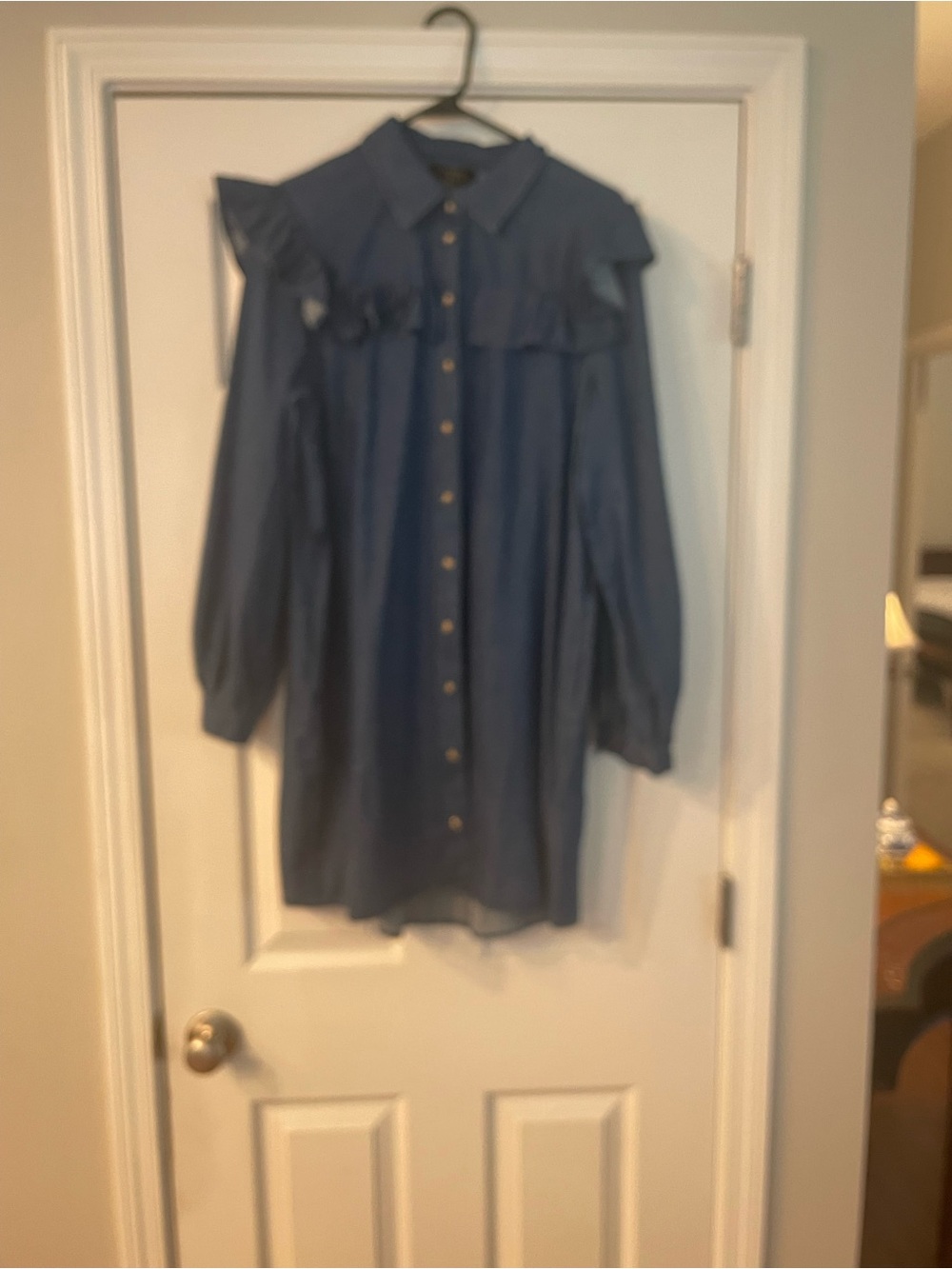 Ruffled Yoke Button-Front Denim Tunic Dress - Blue